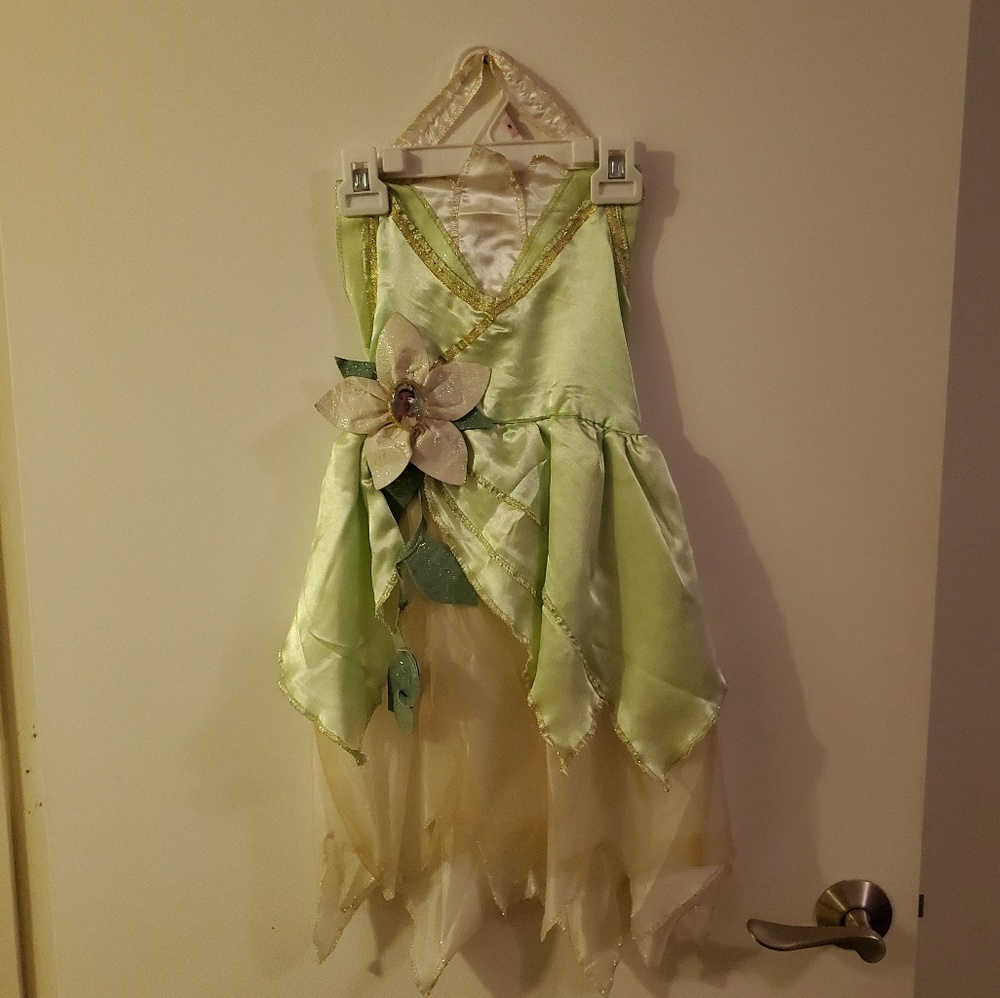 Halloween costume princess tiana Disney